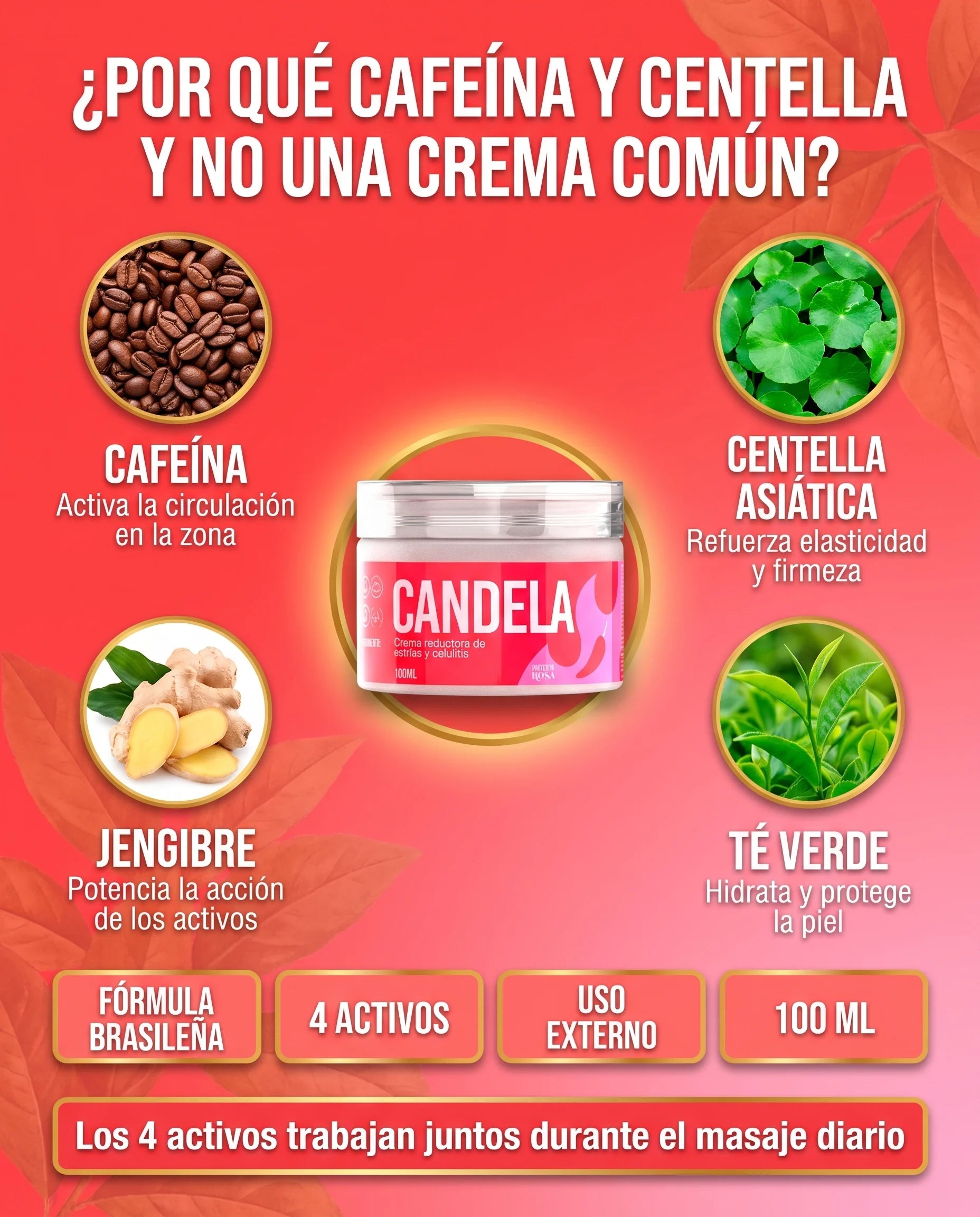 Cafeína, centella asiática, jengibre y té verde: los 4 activos de Crema Candela